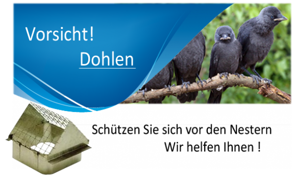 banner banner
